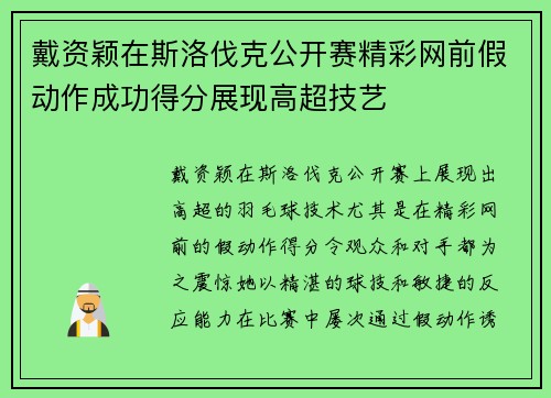 戴资颖在斯洛伐克公开赛精彩网前假动作成功得分展现高超技艺