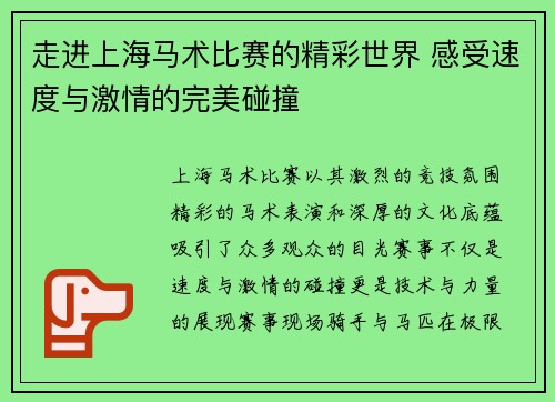 走进上海马术比赛的精彩世界 感受速度与激情的完美碰撞